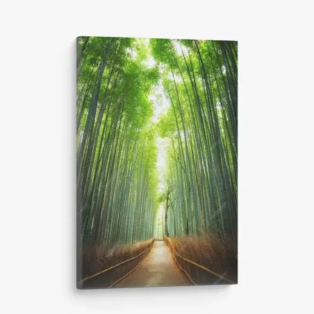 Tableau sur toile allée de bambous d'Arashiyama – Wallnifity®