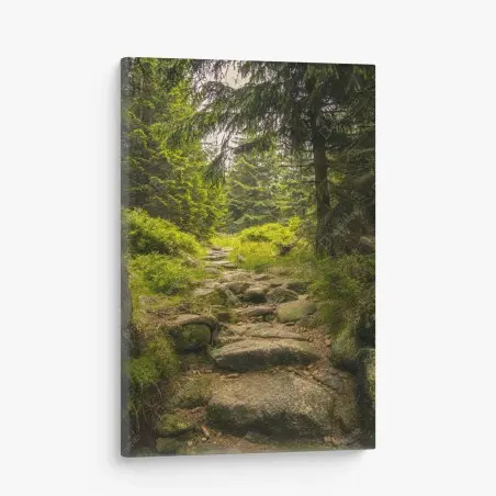 Tableau sur toile chemin forestier verdoyant – Wallnifity®