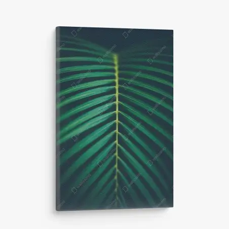 Tableau sur toile feuille de palmier en composition verticale – Wallnifity®
