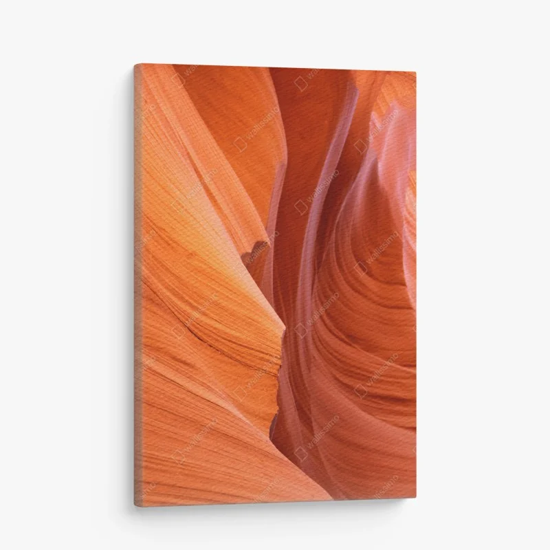 Tableaux sur toile – Wallnifity®
