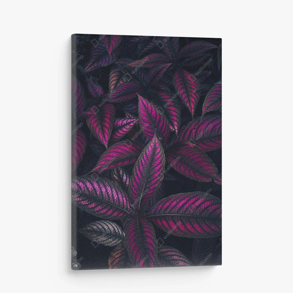 Tableau sur toile feuillage fuchsia nocturne – Wallnifity® Tableau sur toile feuillage fuchsia nocturne – Wallnifity®