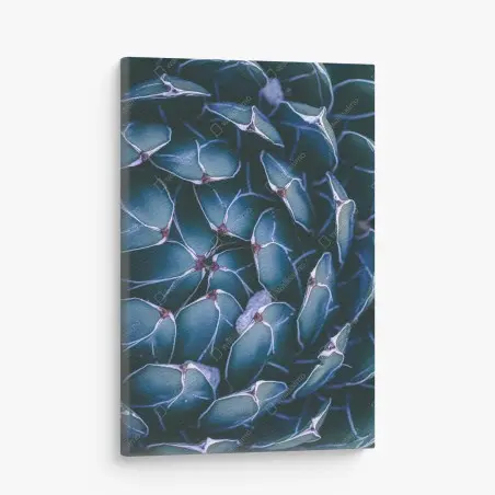 Tableau sur toile motif géométrique de succulente en teintes bleu-vert – Wallnifity®