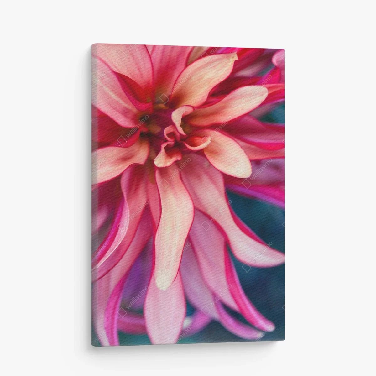 Tableau sur toile éclosion corail: composition florale en gros plan – Wallnifity® Tableau sur toile éclosion corail: composition florale en gros plan – Wallnifity®