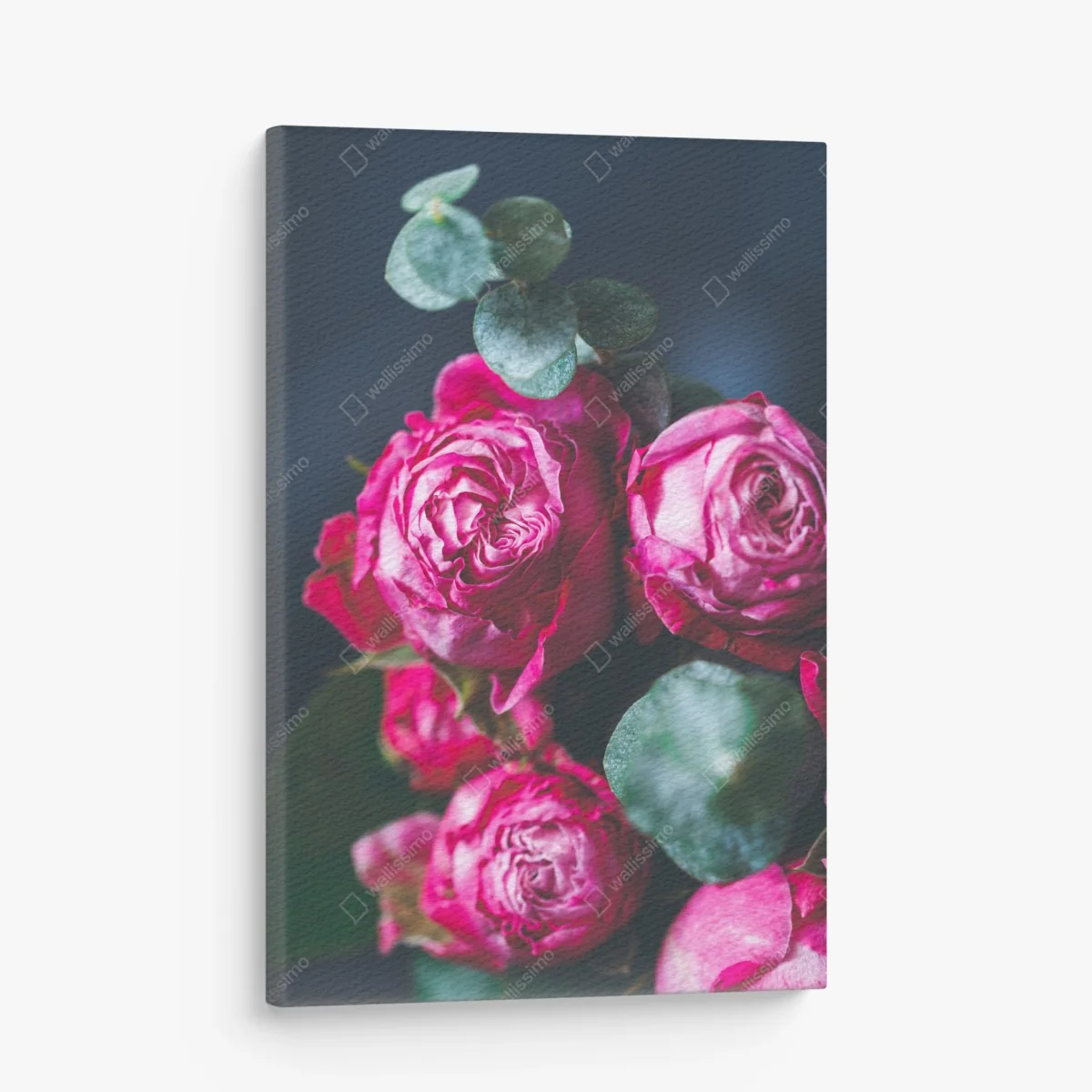 Tableau sur toile roses fuchsia en gros plan sur fond bleu – Wallnifity® Tableau sur toile roses fuchsia en gros plan sur fond bleu – Wallnifity®