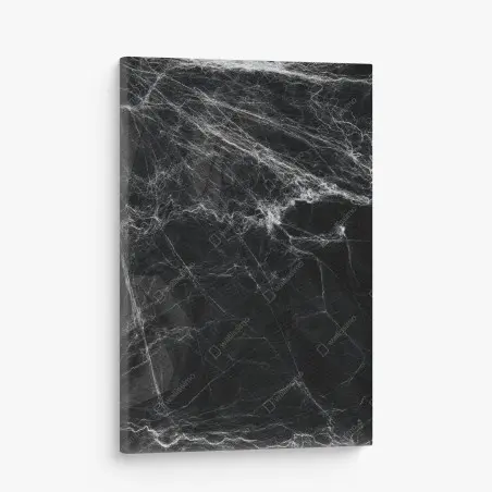 Tableau sur toile toile d'araignée spectrale sur fond noir – Wallnifity®