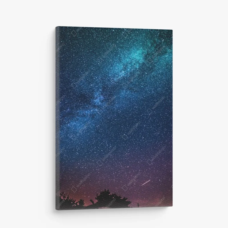 Tableaux sur toile – Wallnifity®