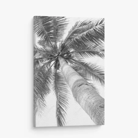 Tableau sur toile palmier en contre-plongée monochrome – Wallnifity®