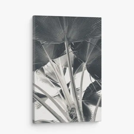 Tableau sur toile feuilles tropicales en perspective – Wallnifity®