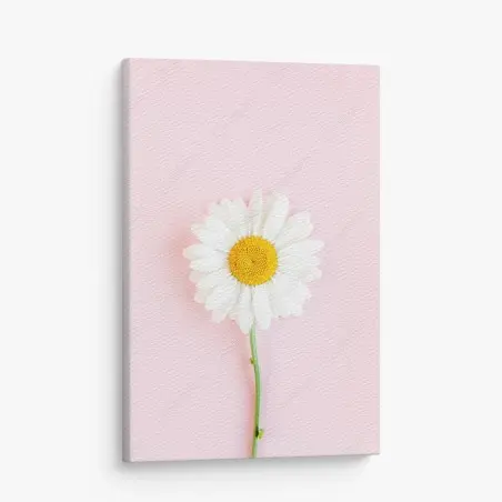 Tableau sur toile marguerite blanche sur fond rose minimaliste – Wallnifity®
