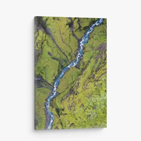 Tableau sur toile rivière sinueuse au cœur d'un tapis de mousse – Wallnifity®