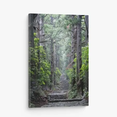 Tableau sur toile allée de cèdres et sentier pierreux – Wallnifity®