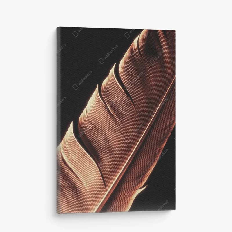 Tableaux sur toile – Wallnifity®