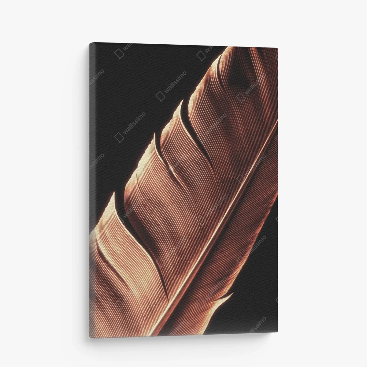 Tableau sur toile plume délicate en contre-jour – Wallnifity® Tableau sur toile plume délicate en contre-jour – Wallnifity®