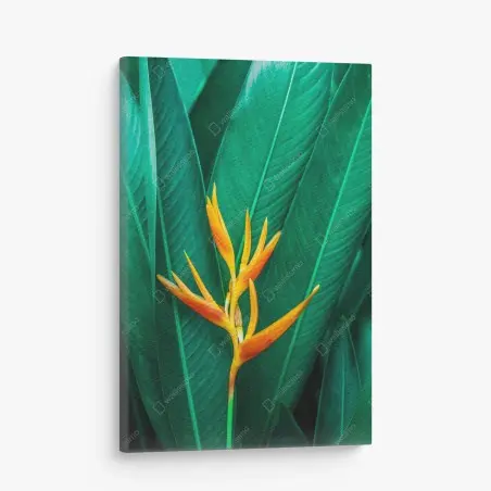 Tableau sur toile fleur tropicale orange sur feuillage vert – Wallnifity®