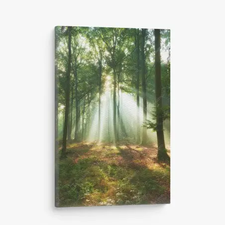 Tableau sur toile lumière matinale dans la forêt – Wallnifity®