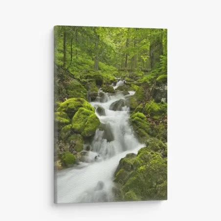 Tableau sur toile cascade féerique de Slovenský Raj – Wallnifity®