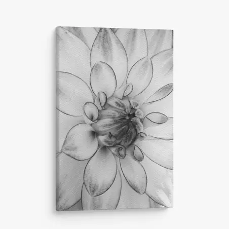 Tableau sur toile éclosion florale en noir et blanc – Wallnifity®