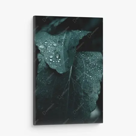 Tableau sur toile feuilles perlées de rosée – Wallnifity®