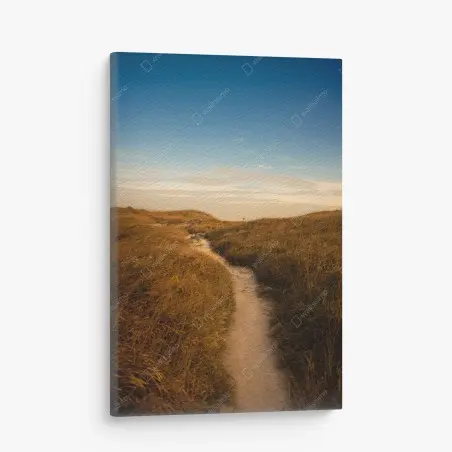 Tableau sur toile chemin de dunes aux tons dorés – Wallnifity®