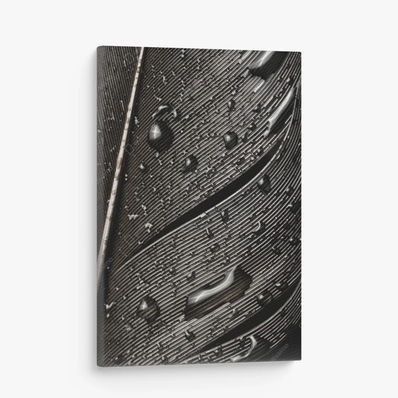 Oiseaux – Wallnifity®