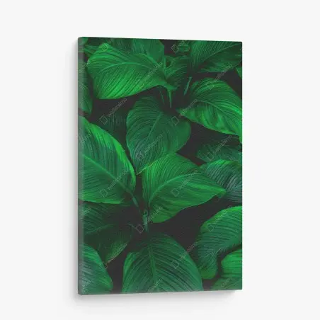 Tableau sur toile feuillage tropical luxuriant – Wallnifity®
