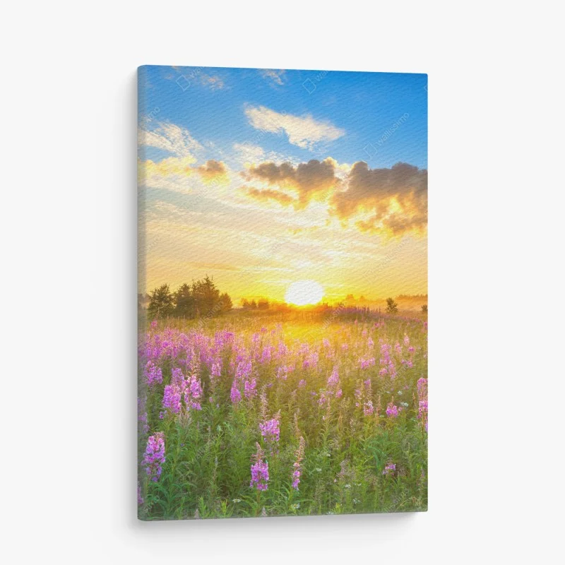 Tableau sur toile prairie en fleurs au lever du soleil – Wallnifity®