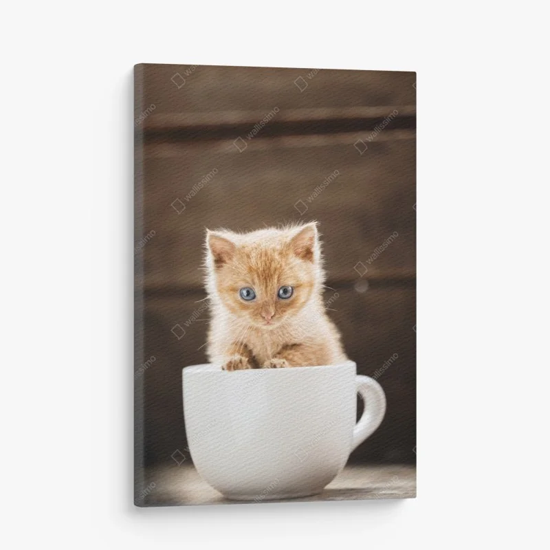 Tableaux sur toile – Wallnifity®