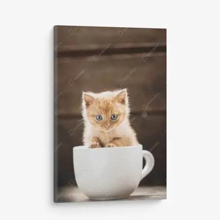 Tableau sur toile chaton roux dans une tasse – Wallnifity®