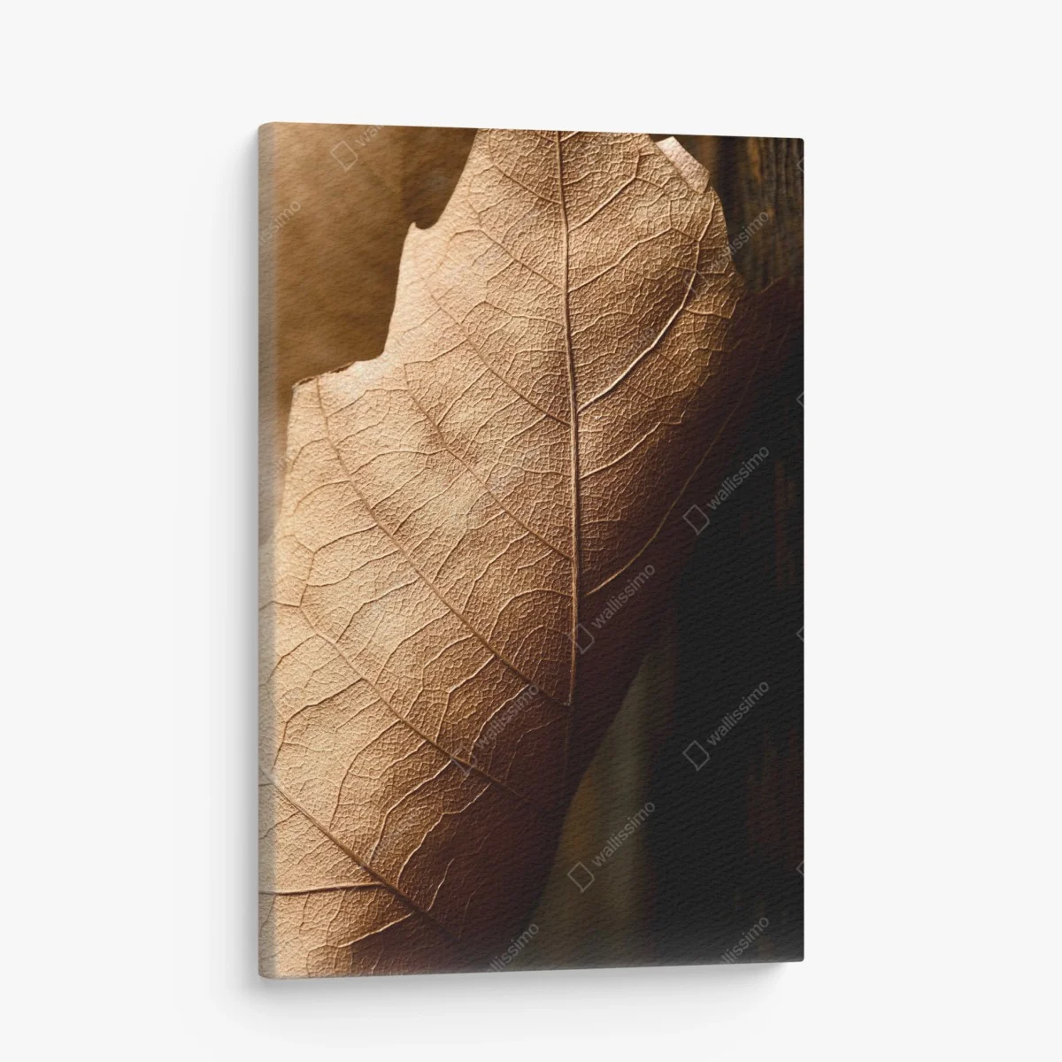 Tableau sur toile texture de feuille sèche en gros plan – Wallnifity® Tableau sur toile texture de feuille sèche en gros plan – Wallnifity®