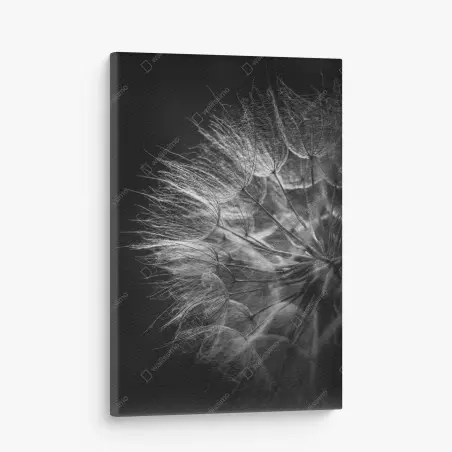 Tableau sur toile souffle de pissenlit en noir et blanc – Wallnifity®