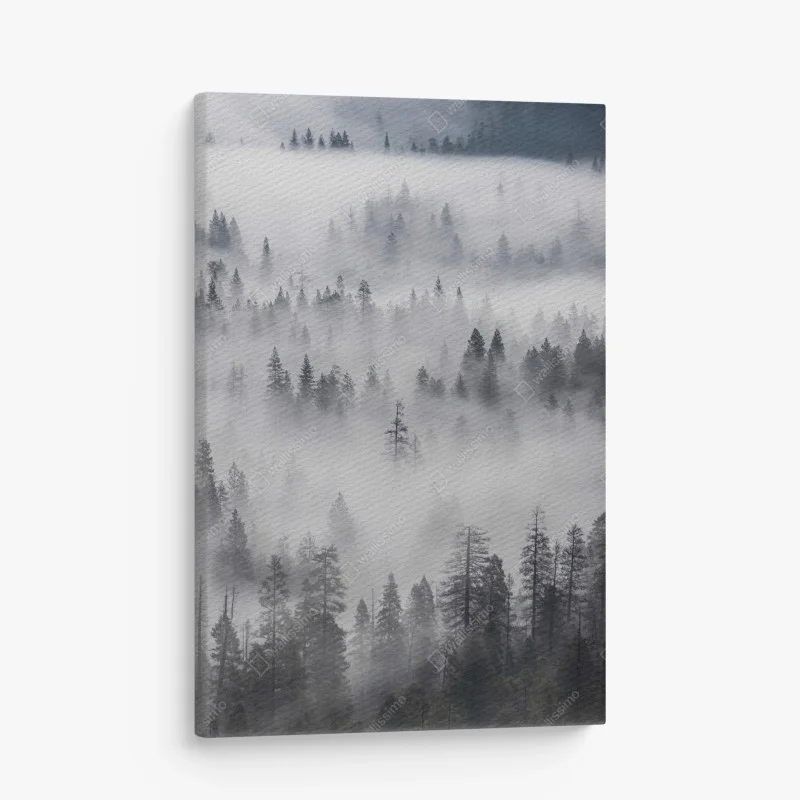 Tableaux sur toile – Wallnifity®