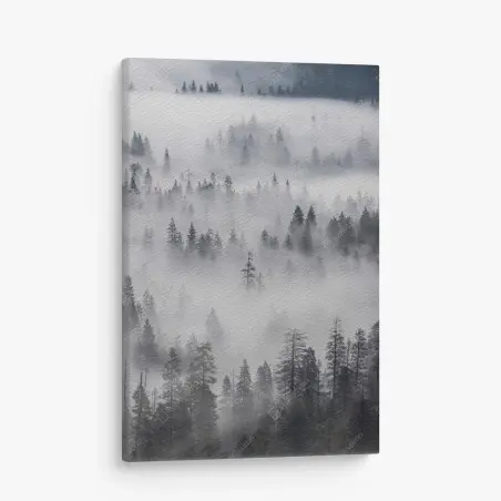 Tableau sur toile forêt de pins enveloppée de brume – Wallnifity®