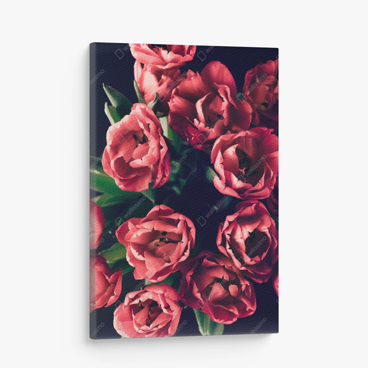 Tableau sur toile bouquet de tulipes corail sur fond sombre – Wallnifity®