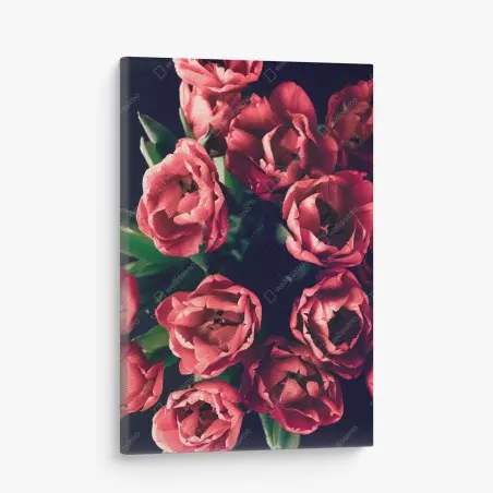 Tableau sur toile bouquet de tulipes corail sur fond sombre – Wallnifity®