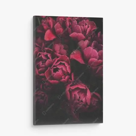 Tableau sur toile bouquet de tulipes rouges en gros plan – Wallnifity®
