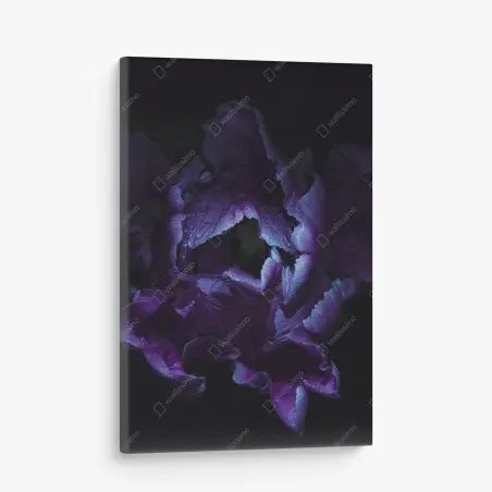 Tableau sur toile élégance violette : tulipe sous lumière ultraviolette – Wallnifity®
