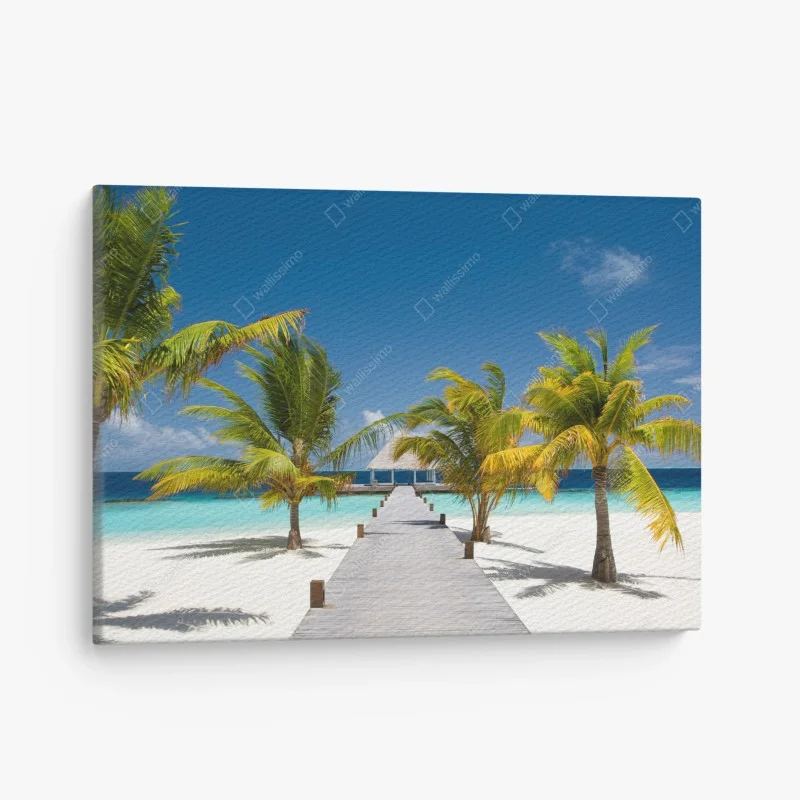 Plage – Wallnifity®