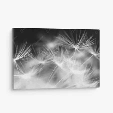 Tableau sur toile souffle de pissenlit en gros plan – Wallnifity®