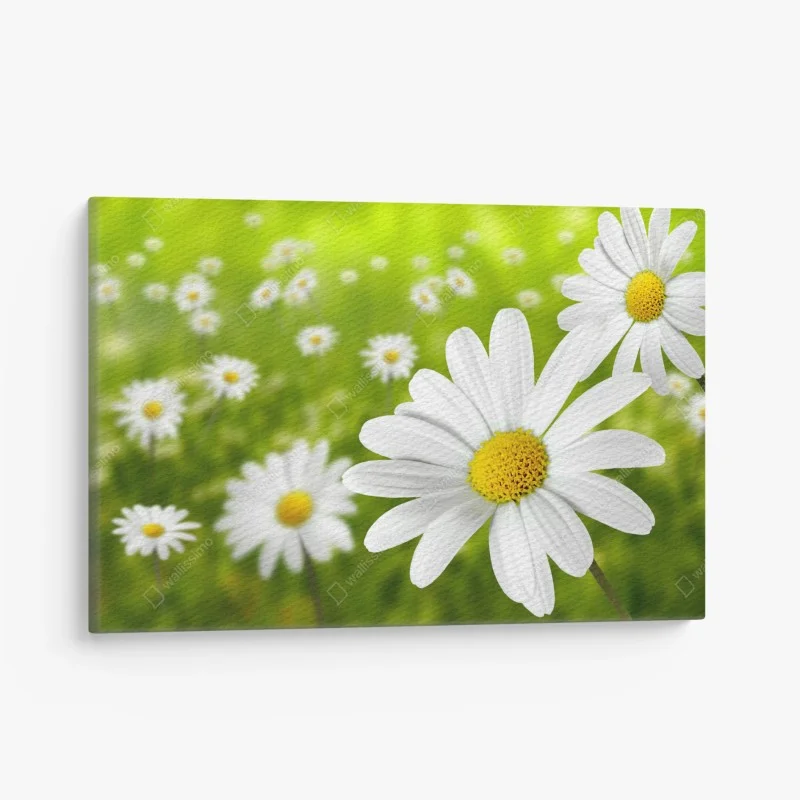 Tableaux sur toile – Wallnifity®