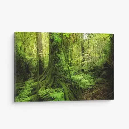 Tableau sur toile forêt tropicale luxuriante – Wallnifity®