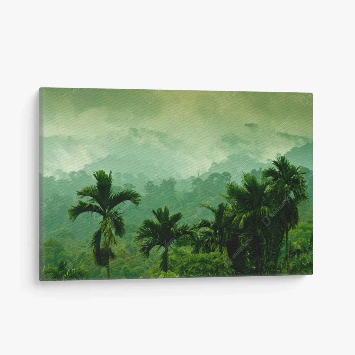 Tableau sur toile panorama de forêt tropicale brumeuse – Wallnifity® Tableau sur toile panorama de forêt tropicale brumeuse – Wallnifity®