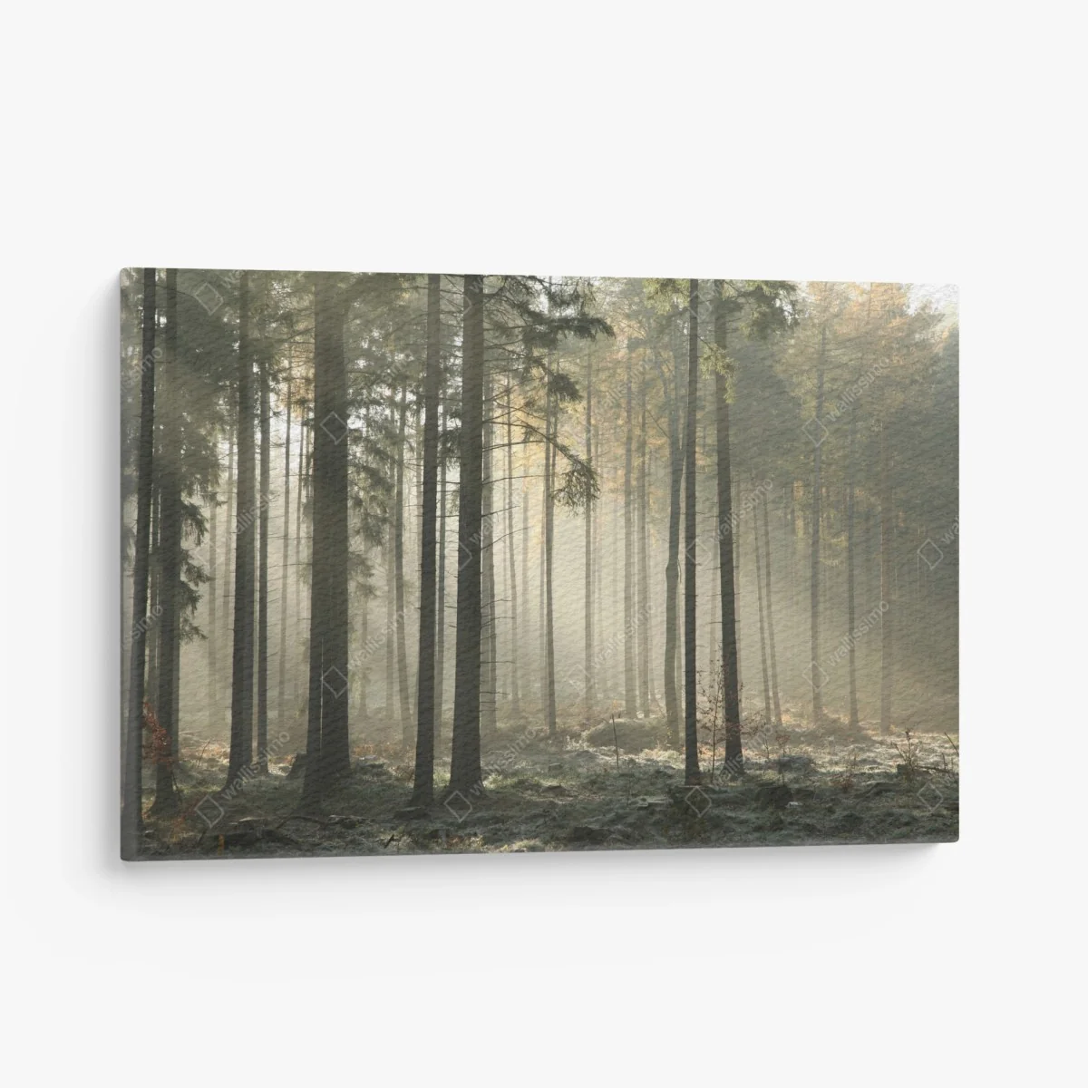 Tableau sur toile forêt brumeuse et lumière matinale – Wallnifity® Tableau sur toile forêt brumeuse et lumière matinale – Wallnifity®