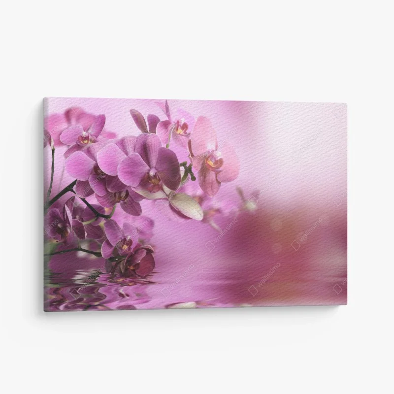 Biophilique – Wallnifity®