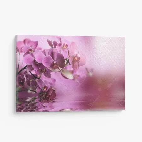 Tableau sur toile orchidées roses en reflet apaisant – Wallnifity®
