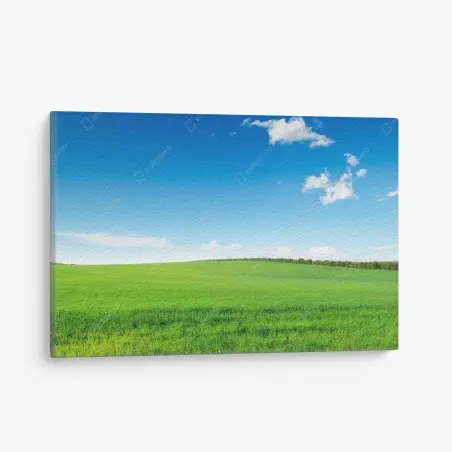 Tableau sur toile paysage champêtre verdoyant sous ciel bleu – Wallnifity®