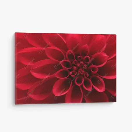 Tableau sur toile élégance du dahlia rouge – Wallnifity®