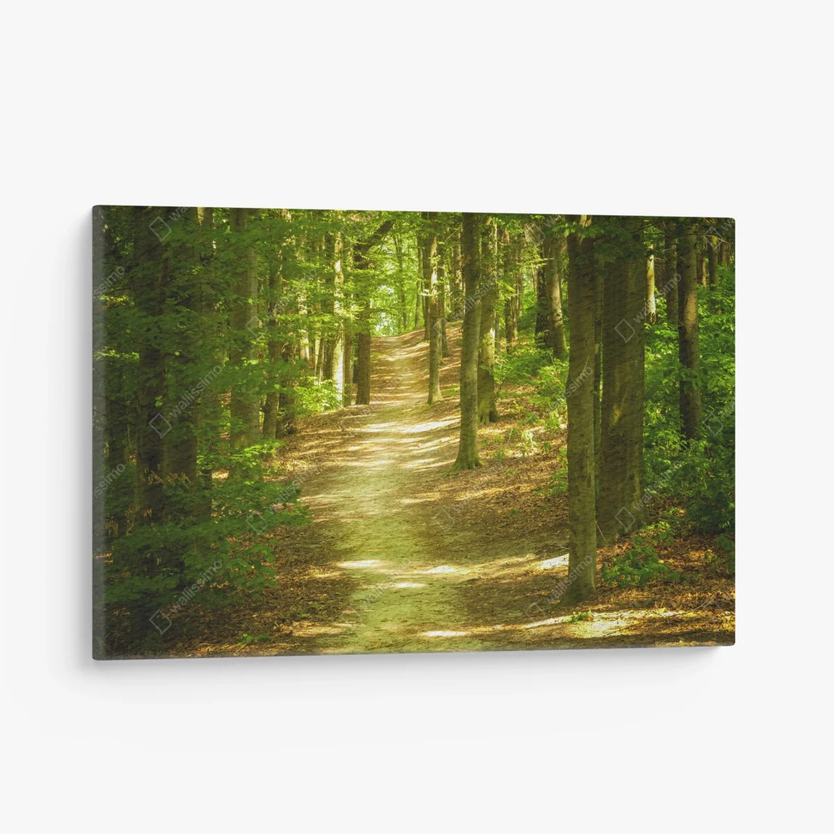 Tableau sur toile sentier en forêt baigné de lumière – Wallnifity® Tableau sur toile sentier en forêt baigné de lumière – Wallnifity®