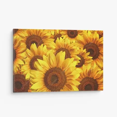 Tableau sur toile mosaïque de tournesols éclatants – Wallnifity®