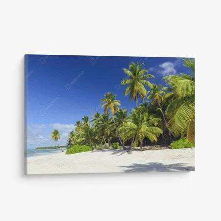 Tableau sur toile plage paradisiaque de Punta Cana – Wallnifity®