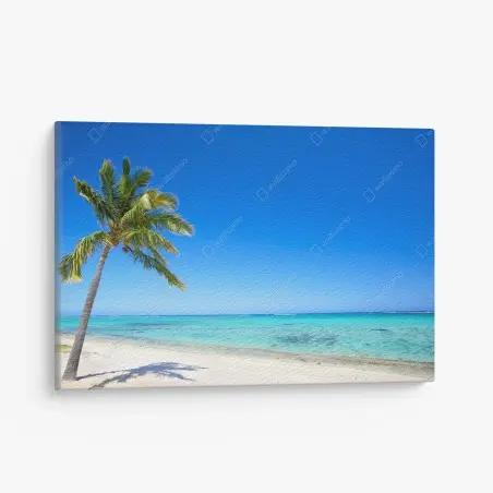 Tableau sur toile palmier solitaire sur plage paradisiaque – Wallnifity®